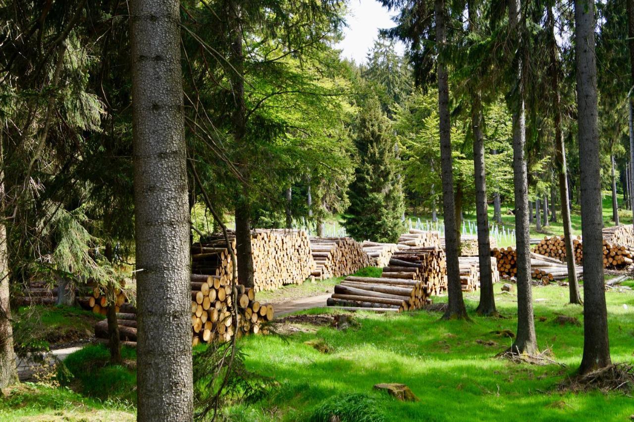 Pension Zum Ritter Katzhutte Extérieur photo