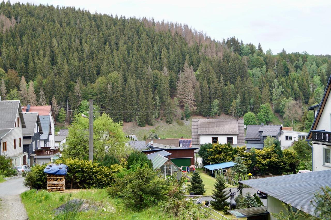 Pension Zum Ritter Katzhutte Extérieur photo