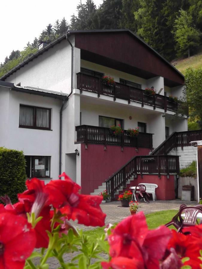 Pension Zum Ritter Katzhutte Extérieur photo