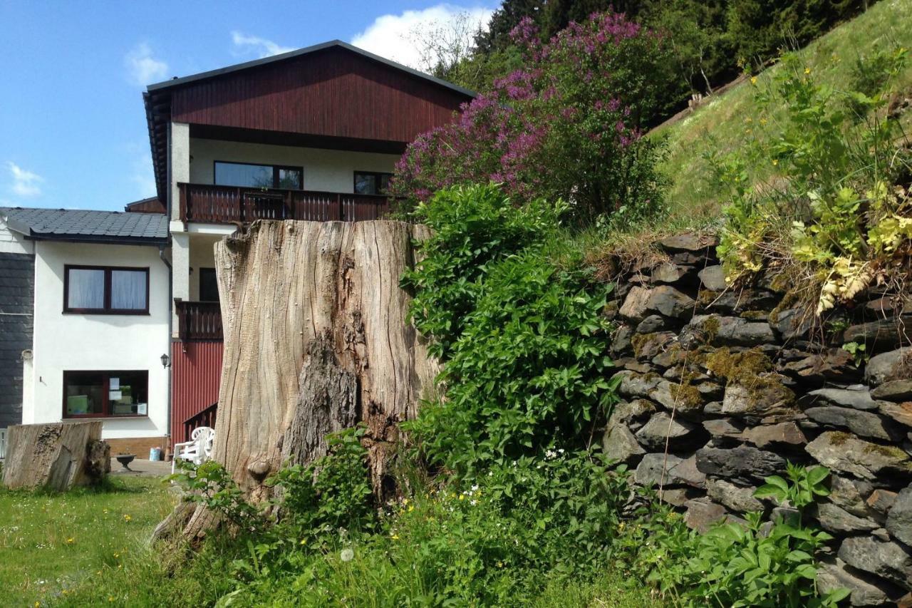 Pension Zum Ritter Katzhutte Extérieur photo