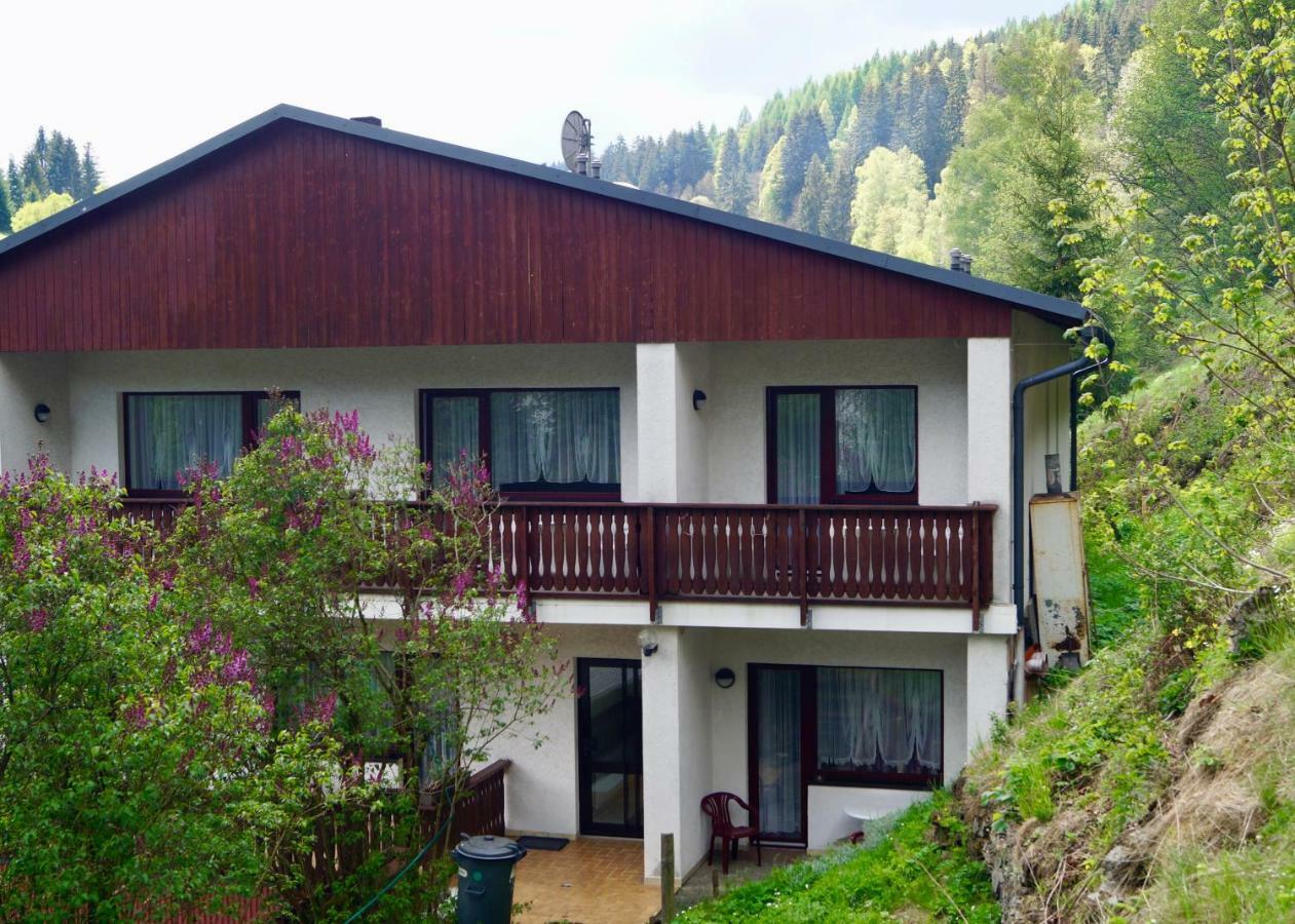 Pension Zum Ritter Katzhutte Extérieur photo